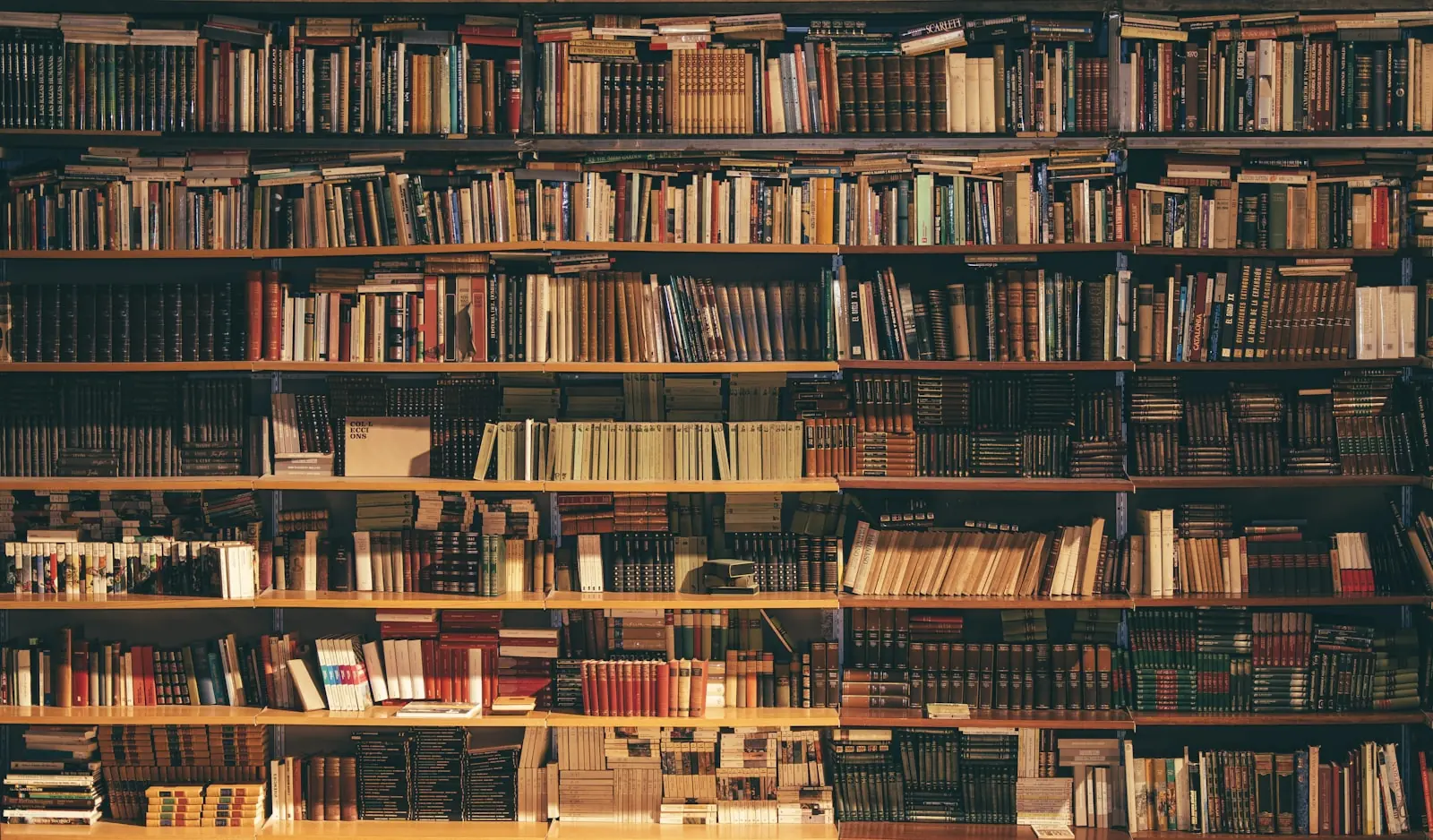 A wall of law library shelves