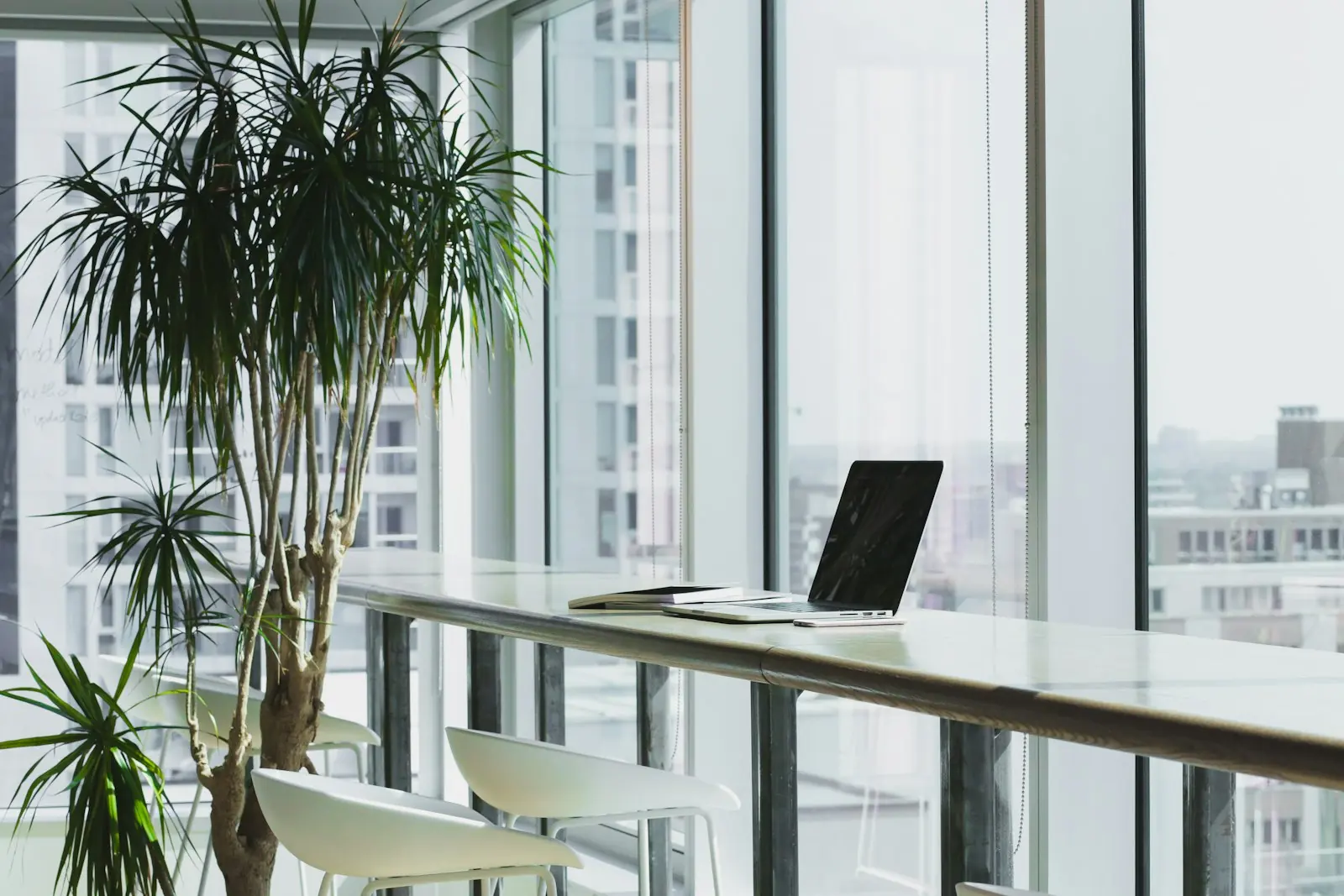A calm office beside a window