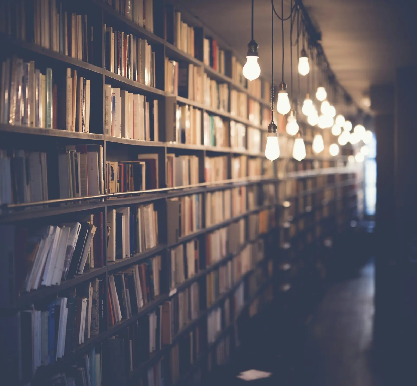 A warm reading room lined with books